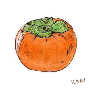 kaki